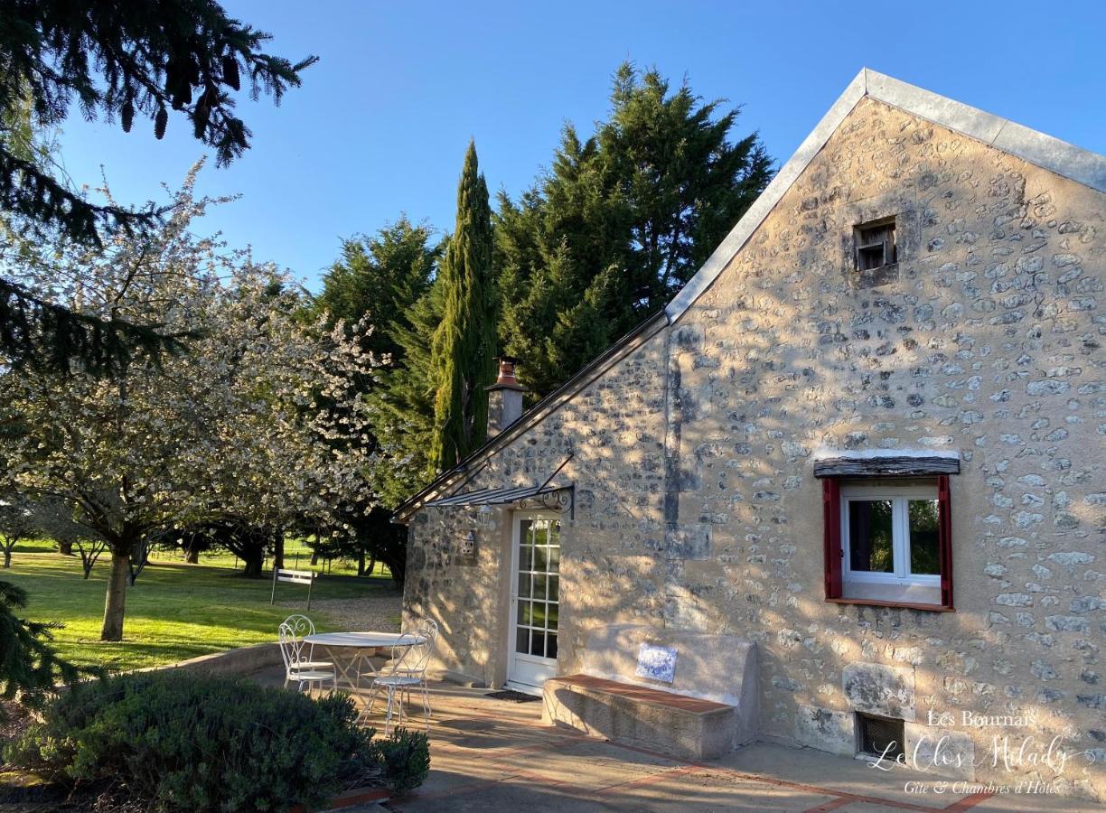 Chambres D'Hotes Les Bournais - Le Clos Milady L'Ile-Bouchard Eksteriør billede