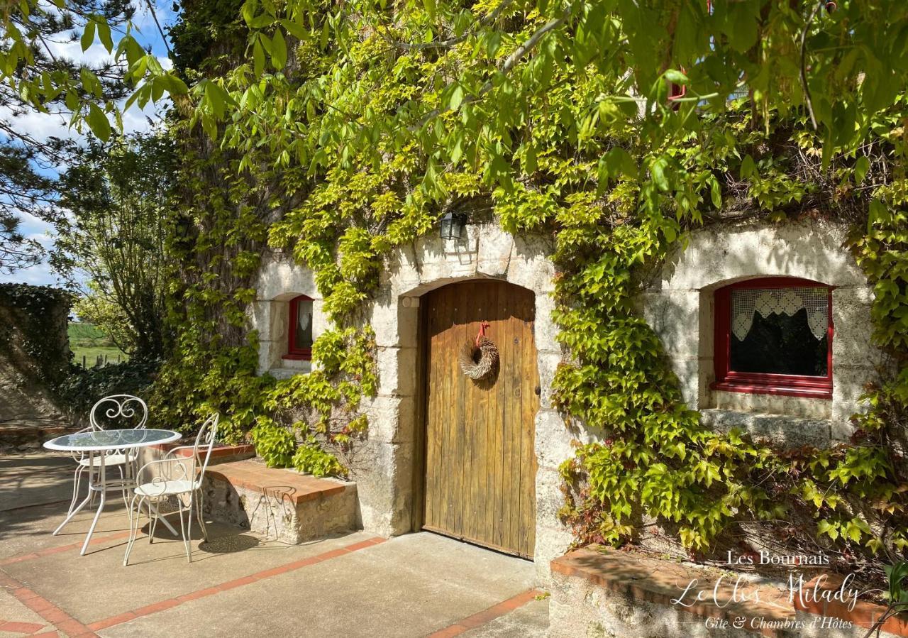 Chambres D'Hotes Les Bournais - Le Clos Milady L'Ile-Bouchard Eksteriør billede