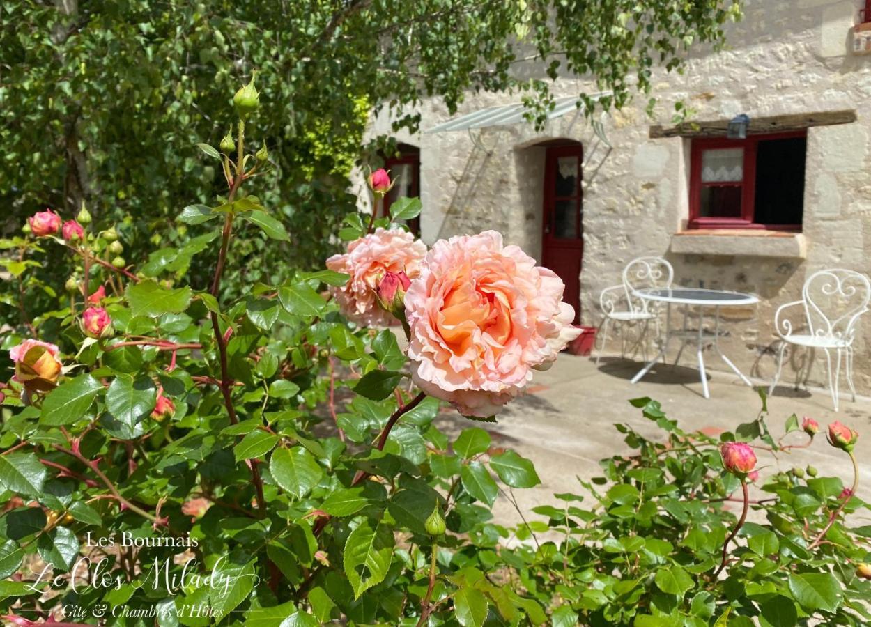 Chambres D'Hotes Les Bournais - Le Clos Milady L'Ile-Bouchard Eksteriør billede