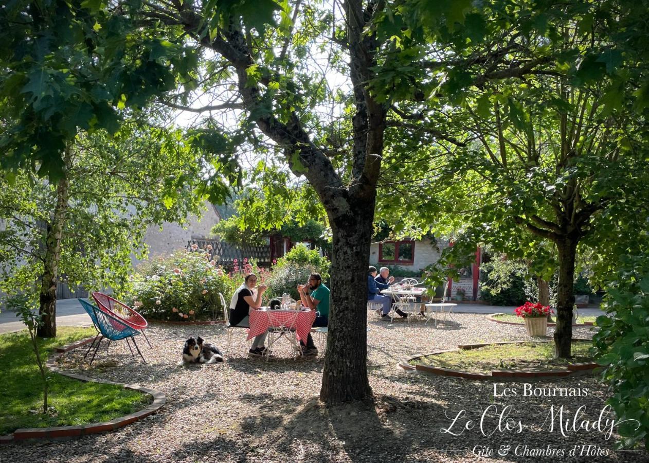 Chambres D'Hotes Les Bournais - Le Clos Milady L'Ile-Bouchard Eksteriør billede