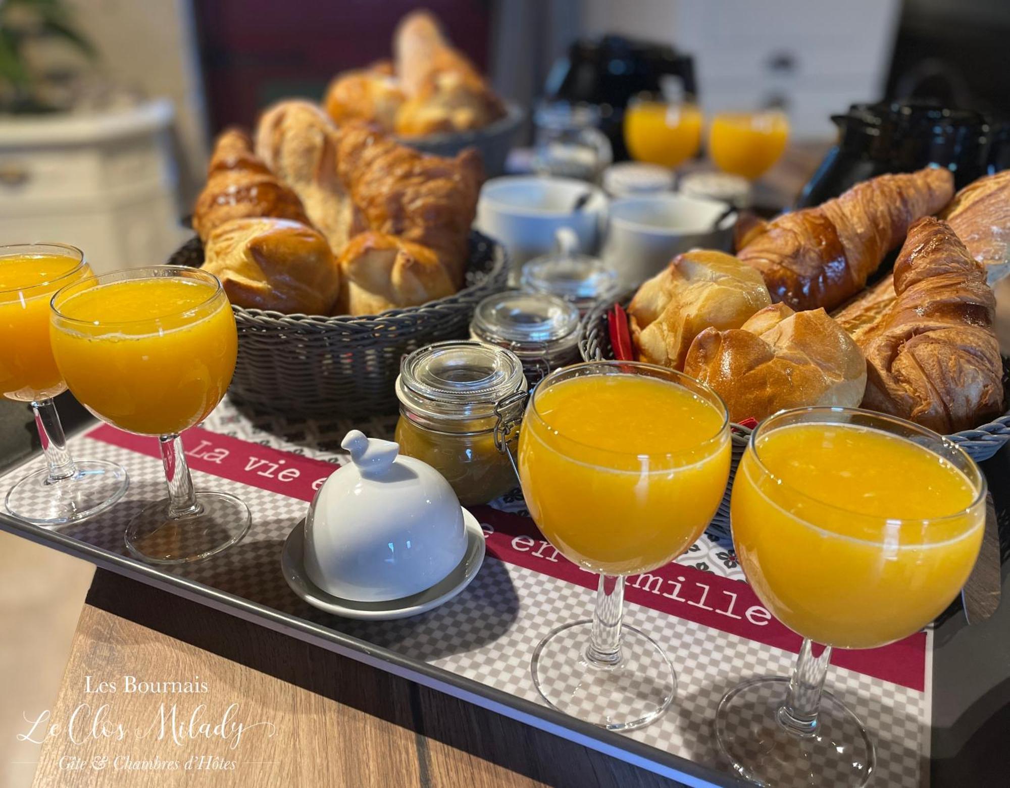 Chambres D'Hotes Les Bournais - Le Clos Milady L'Ile-Bouchard Eksteriør billede