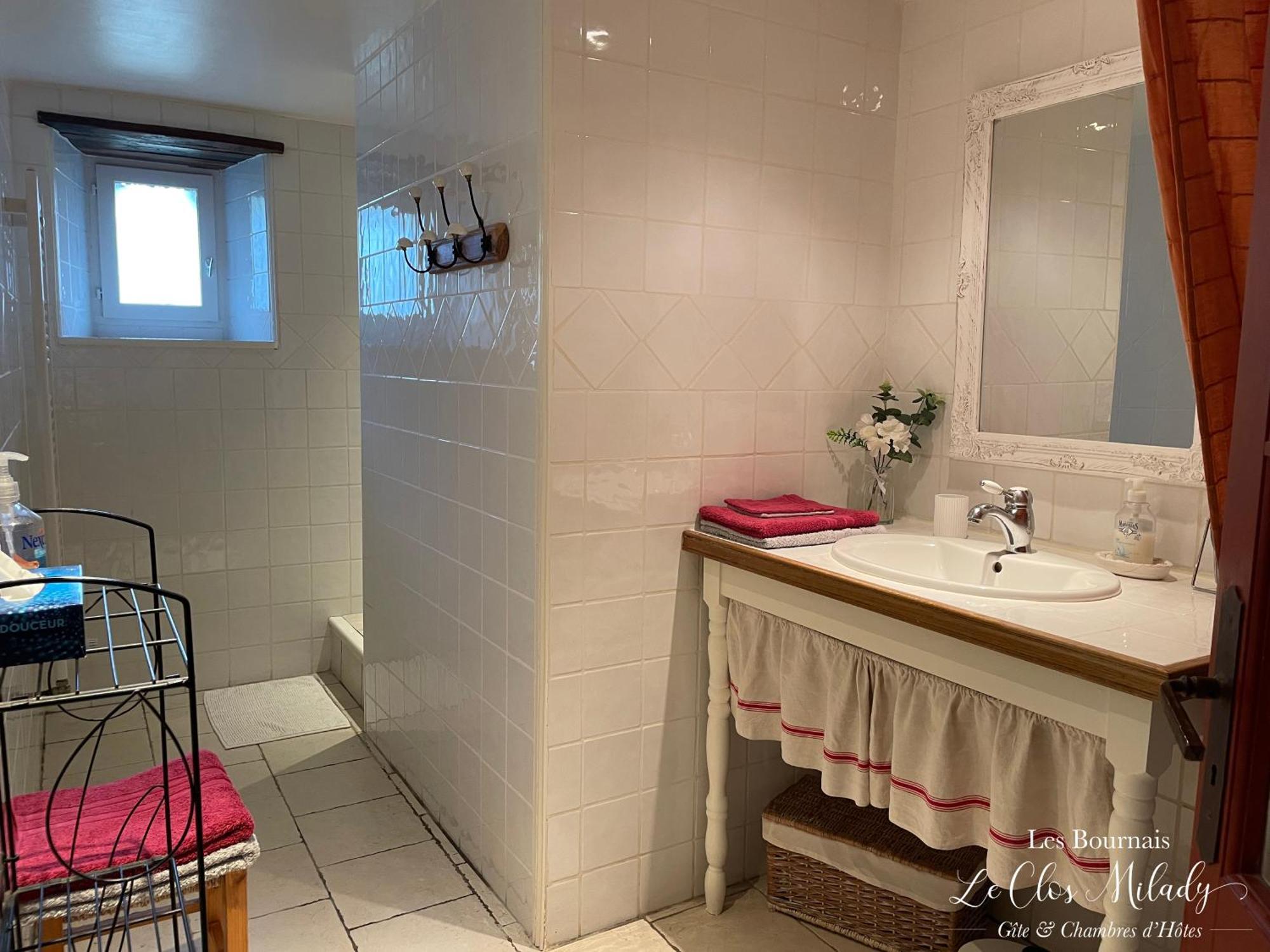 Chambres D'Hotes Les Bournais - Le Clos Milady L'Ile-Bouchard Eksteriør billede